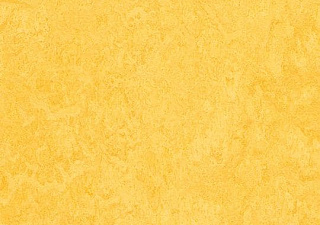 t3251 lemon zest//50 cm x 50 cm